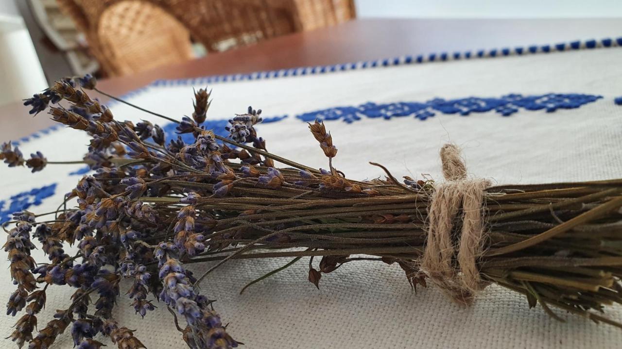 Pensiunea Aranyos Rimetea Esterno foto